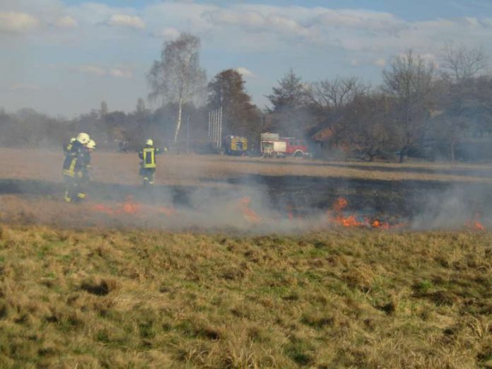 Eine Wiese geriet in Brand (Foto: Feuerwehr)