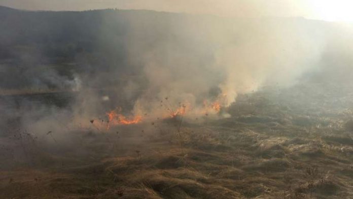 Einsatzstelle (Foto: Feuerwehr)