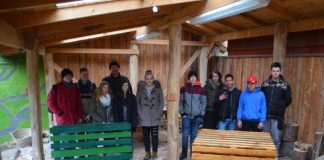 Schüler der Realschule plus des Albert-Grosser-Schulzentrums haben im Waldklassenzimmer Möbel aus alten Paletten gebaut. (Foto: Waldpädagogik Karlsruhe)