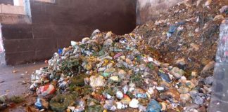 In den gesammelten Bioabfällen befinden sich neben organischen Küchenabfällen zahlreiche Plastiktüten, die den Verarbeitungsprozess in der Anlage deutlich erschweren. (Foto: Amt für Abfallwirtschaft)