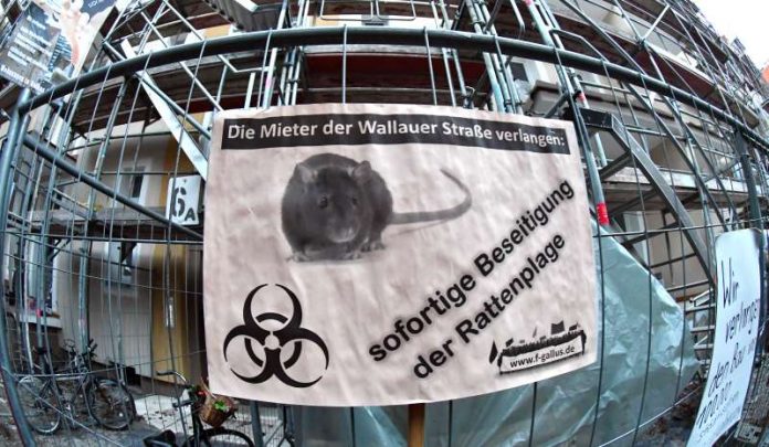 Schild der Mieterinitiative Wallauer Straße zu Rattenplage (Foto: Rainer Rüffer)