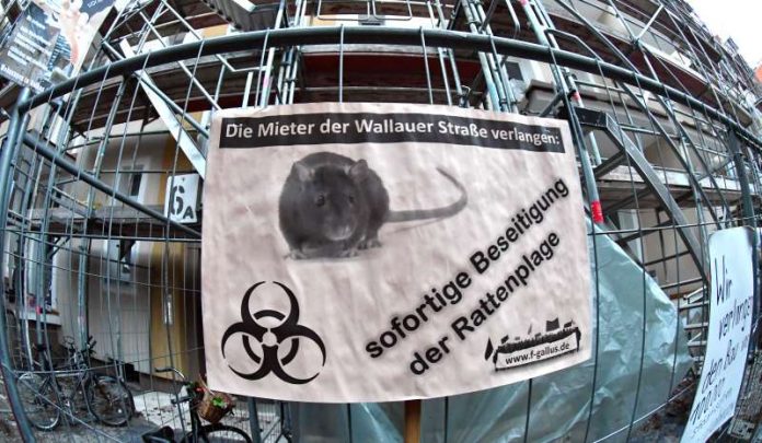 Schild der Mieterinitiative Wallauer Straße zu Rattenplage (Foto: Rainer Rüffer) Schild der Mieterinitiative Wallauer Straße zu Rattenplage (Foto: Rainer Rüffer)