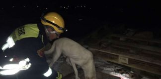 Die Suchaktion wurde erfolgreich beendet (Foto: Team Medien Kreisverwaltung Bad Kreuznach)