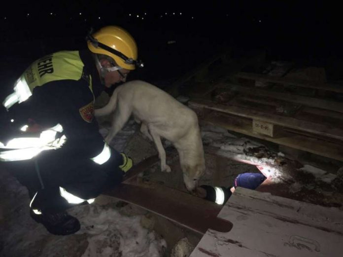 Die Suchaktion wurde erfolgreich beendet (Foto: Team Medien Kreisverwaltung Bad Kreuznach)