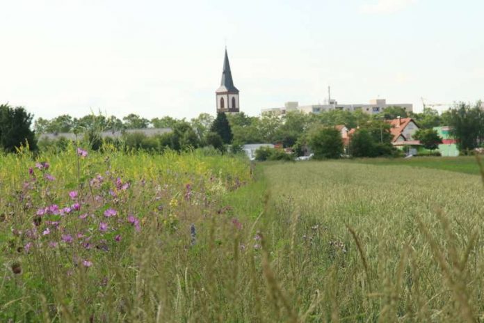 Foto: Umwelt- und Energieberatung e.V.