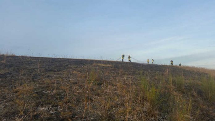 Flächenbrand Hirschhorn