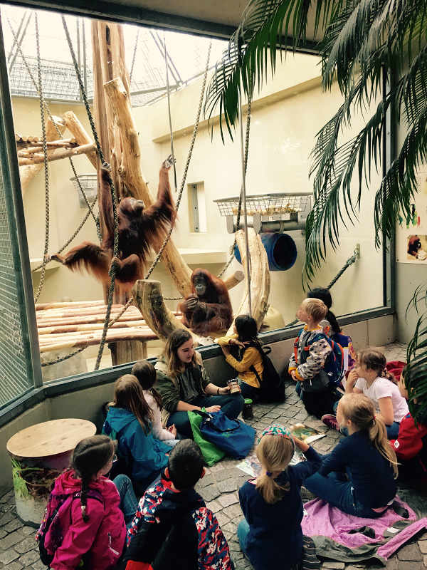 Das Projekt „Wir werden affenstark für Nachhaltigkeit“ geht in die zweite Runde. Es richtet sich an Gruppen aus Kindergärten und Grundschulen. Die Teilnahme für die Gruppen ist kostenlos. (Foto: Zooschule)