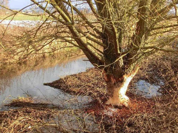 Foto: Kreisverwaltung