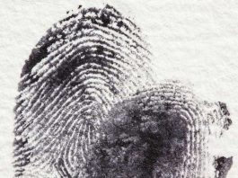 Fingerabdrücke identifizieren einen Menschen (Symbolbild LKA RLP)