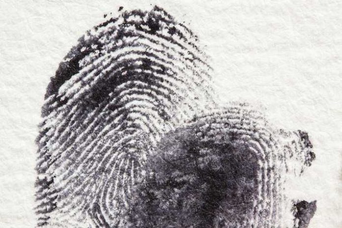 Fingerabdrücke identifizieren einen Menschen (Symbolbild LKA RLP)