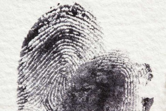 Fingerabdrücke identifizieren einen Menschen (Symbolbild LKA RLP) Fingerabdrücke identifizieren einen Menschen (Symbolbild LKA RLP)