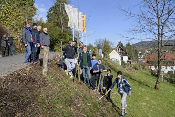 Bei der Obstbaum-Pflanzaktion auf der Wolfsbrunnenwiese (v. l.): Barbara Vogt vom Amt für Umweltschutz, Gewerbeaufsicht und Energie der Stadt Heidelberg, Mario Priegnitz vom Institut für Heilpädagogik und Erziehungshilfe, Kathrin Rating vom Freundeskreis-Wolfsbrunnen, Rüdiger Becker vom Freundeskreis-Wolfsbrunnen sowie die jugendlichen Helfer des Instituts für Heilpädagogik und Erziehungshilfe. (Foto: Philipp Rothe)