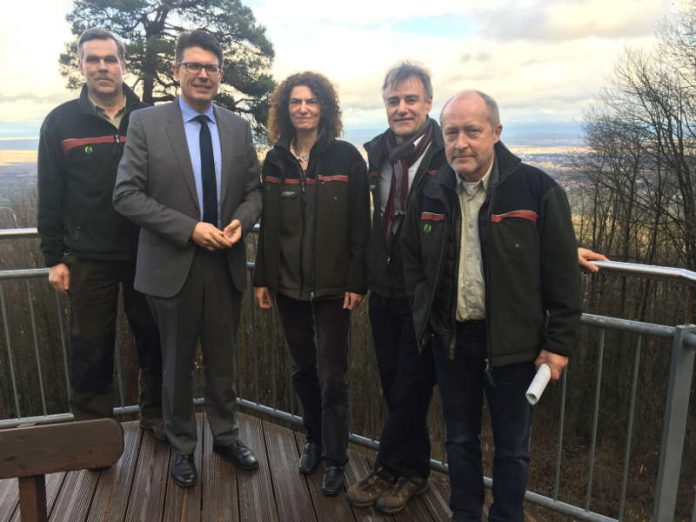 Gemeinsam stark für den Wald: Bürgermeister Torsten Blank mit der neuen Leiterin des Forstamts Ulrike Abel, ihrem Vorgänger Wolfgang Wambsganß sowie den Revierförstern Jörg Sigmund und Konrad Gollong. (Foto: VG Landau-Land)