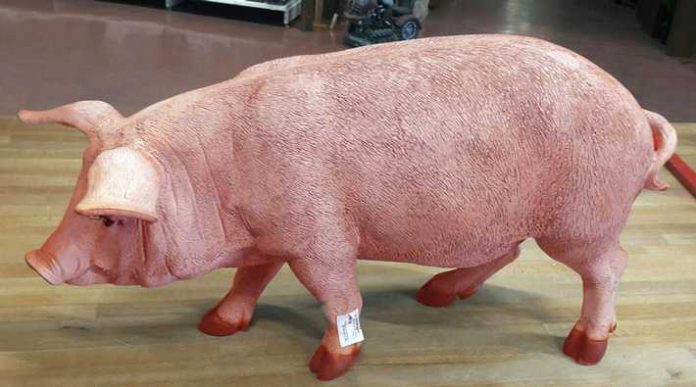 Pinkfarbene Deko-Sau gestohlen Pinkfarbene Deko-Sau gestohlen