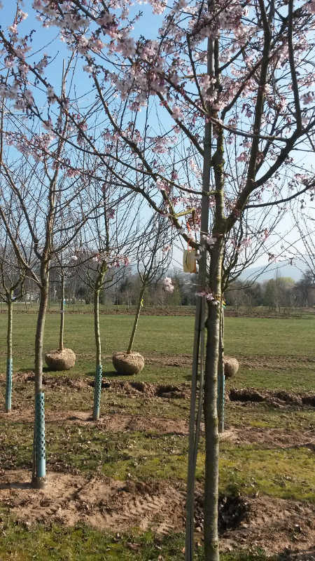 Foto: Stadtverwaltung