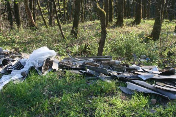 Immer wieder kippen rücksichtslose Zeitgenossen ihren Müll in die Landschaft