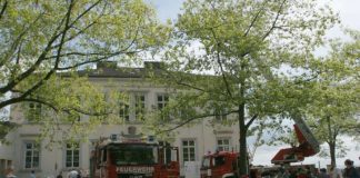 Feuerwehrfahrzeuge vor dem Gerätehaus Haardt (Foto: Feuerwehr Neustadt)
