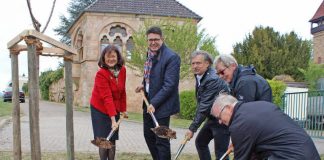 Landrätin Theresia Riedmaier (links), Torsten Blank (Bürgermeister der VG Landau-Land, 2. v.l.) und Ortsbürgermeister Peter Klein (Mitte) pflanzen gemeinsam mit Prof. Dr. Töpfer (Institutsleiter, rechts) und seiner Stellvertreterin Prof. Dr. Zyprian (2. v.r.) den Mandelbaum. (Foto: Kreisverwaltung Südliche Weinstraße)