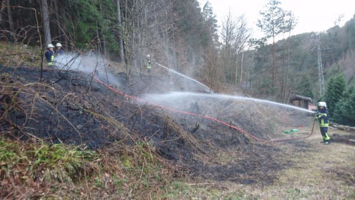 Der Flächenbrand wurde gelöscht (Foto: Feuerwehr) Der Flächenbrand wurde gelöscht (Foto: Feuerwehr)