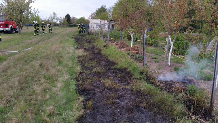 Flächenbrand auf dem Sandbuckelgelände (Foto: Feuerwehr Haßloch)