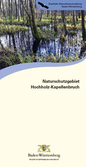Titelseite Faltblatt Naturschutzgebiet Hochholz-Kapellenbruch (Bildautorin: Dr. Brigitta Martens-Aly) Titelseite Faltblatt Naturschutzgebiet Hochholz-Kapellenbruch (Bildautorin: Dr. Brigitta Martens-Aly)