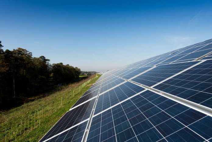 Solarpark Feilheck (Foto: Stadtwerke Heidelberg/ Sven Ehlers)