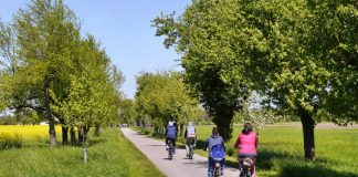 Der Kraichradweg (bei Reilingen) (Foto: Landratsamt Rhein-Neckar-Kreis/Fotograf Bernd Pelzig)