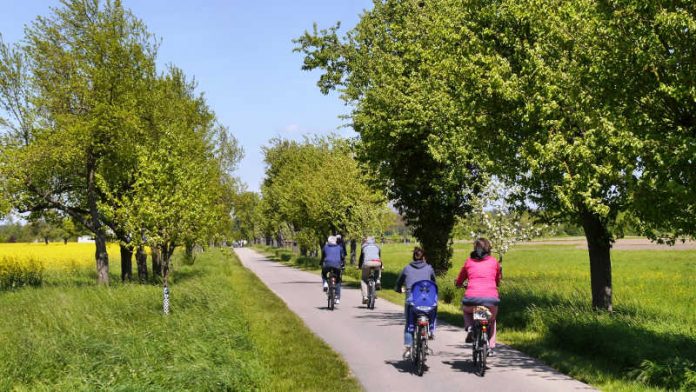 Der Kraichradweg (bei Reilingen) (Foto: Landratsamt Rhein-Neckar-Kreis/Fotograf Bernd Pelzig)