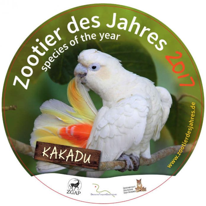 Der Kakadu wurde zum Zootier des Jahres gewählt (Foto: Zootier des Jahres) Der Kakadu wurde zum Zootier des Jahres gewählt (Foto: Zootier des Jahres)
