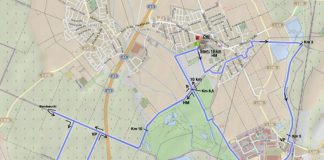 46. Lokalmatador-Frühlingslauf am 14. Mai 2017 beim TSV 05 Rot