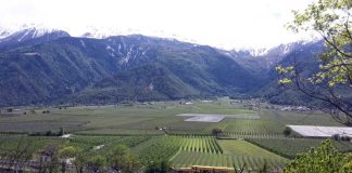 Der Vinschgau