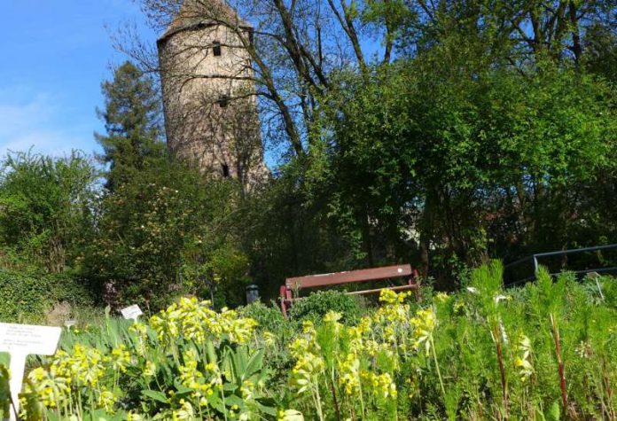 Heilkräutergarten (Foto: Stadtverwaltung Weinheim)