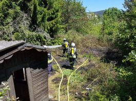 Die Feuerwehr löschte den Brand (Foto: Presseteam der Feuerwehr VG Lambrecht)