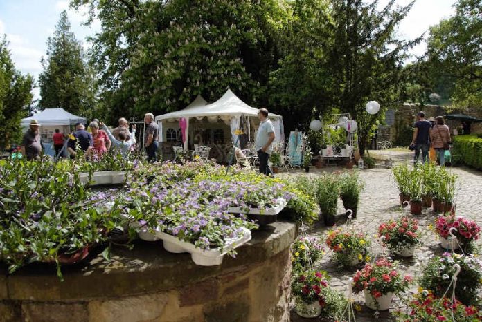 Romantisches Gartenfest auf Schloss Dhaun (Foto: Verbandsgemeinde Kirn-Land)