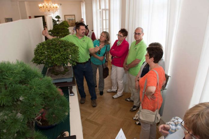 Bonsai-Beratung – Besucher erfahren alles über die richtige Pflege (Foto: Thomas Krebs)