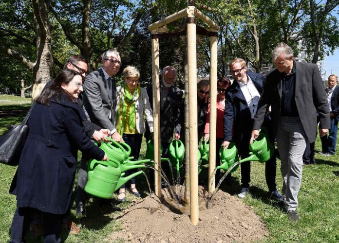 Feierliches Angießen des neu gepflanzten Baumes mit Oberbürgermeister Dr. Kurz und Bürgermeisterin Felicitas Kubala (Foto: Stadt Mannheim)