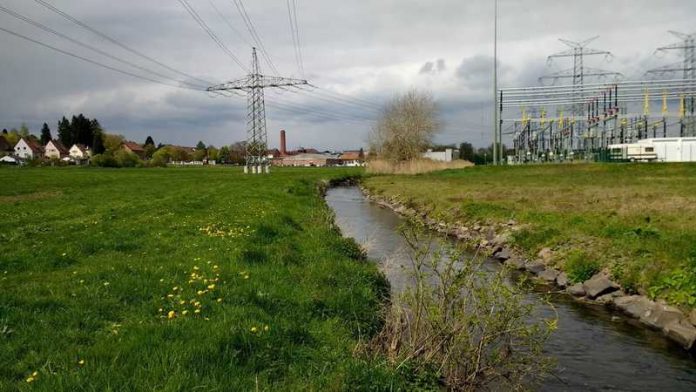 Projekt Renaturierung der Lauter