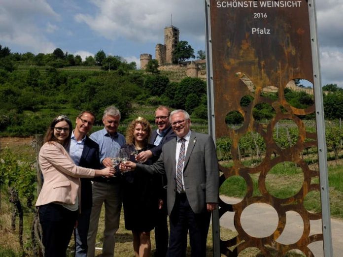 Blick auf die Burg Wachenheim (Foto: Pfalzwein e.V.)