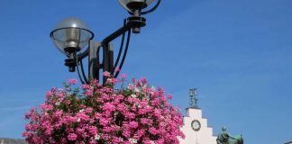 Wunderschön: Auch in diesem Jahr erfreuen die von der Firma Möbel Ehrmann gesponserten Blumenampeln die Besucherinnen und Besucher der Landauer Innenstadt. (Foto: Stadt Landau in der Pfalz)