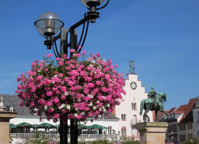 Wunderschön: Auch in diesem Jahr erfreuen die von der Firma Möbel Ehrmann gesponserten Blumenampeln die Besucherinnen und Besucher der Landauer Innenstadt. (Foto: Stadt Landau in der Pfalz)