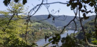 Blick aufs Heidelberger Neckartal: Zum „GEO Tag der Natur“ sind Naturliebhaber vom 25. bis 28. Mai 2017 zu insgesamt 20 kostenlose Exkursionen und Führungen in Heidelberg eingeladen. (Foto: Steffen Diemer)