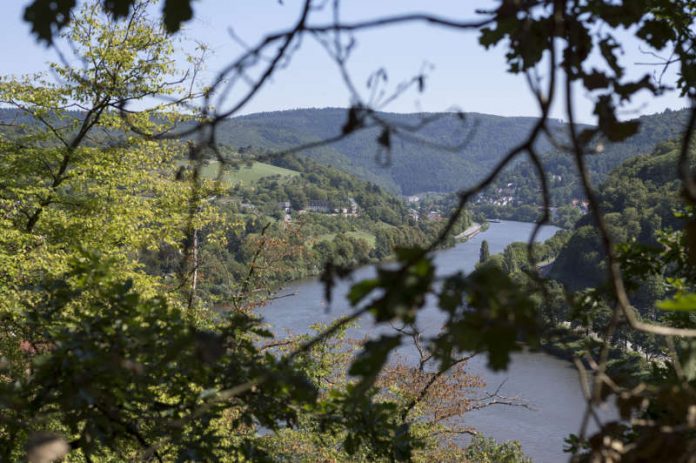 Blick aufs Heidelberger Neckartal: Zum „GEO Tag der Natur“ sind Naturliebhaber vom 25. bis 28. Mai 2017 zu insgesamt 20 kostenlose Exkursionen und Führungen in Heidelberg eingeladen. (Foto: Steffen Diemer) Blick aufs Heidelberger Neckartal: Zum „GEO Tag der Natur“ sind Naturliebhaber vom 25. bis 28. Mai 2017 zu insgesamt 20 kostenlose Exkursionen und Führungen in Heidelberg eingeladen. (Foto: Steffen Diemer)