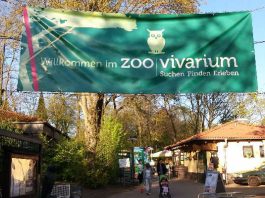 Zoo Vivarium bietet Familien einen tollen Erlebnistag im Zoo. (Foto: Wissenschaftsstadt Darmstadt/ Sibel Öz)