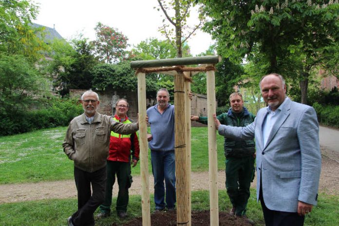 Klaus Feichtner, Matthias Löffler, Rainer Hüttig, Tim Sternberger und Alfred Schießler (Foto: Stadt Speyer)