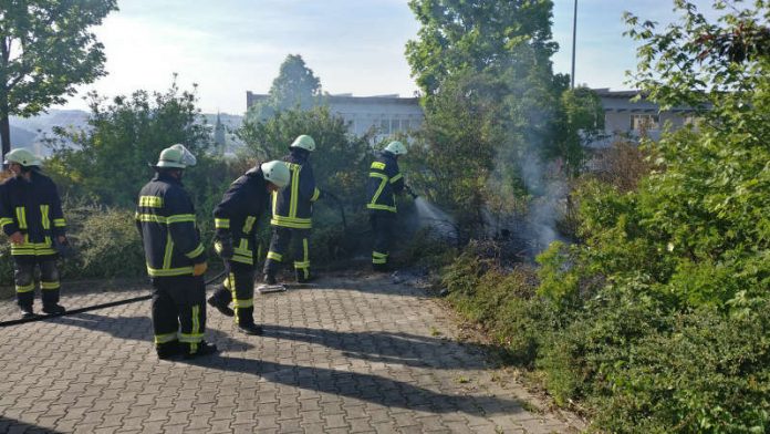 Eine Hecke brannte (Foto: Feuerwehr Bad Kreuznach)