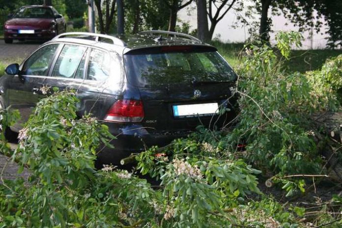 Der Baumstamm fiel glücklicherweise neben den Wagen