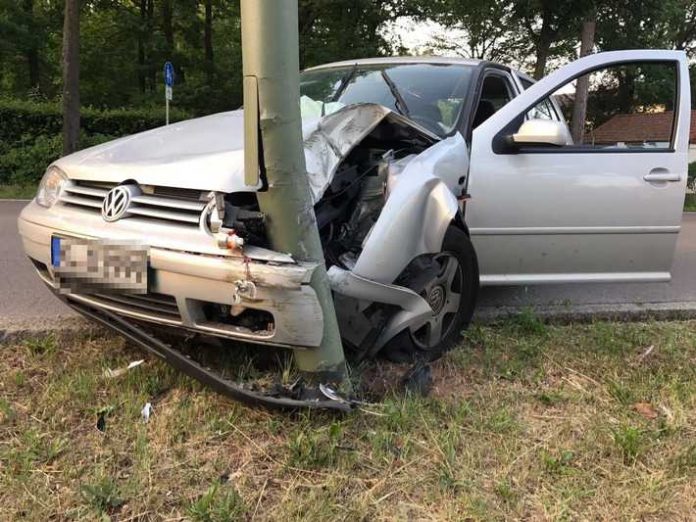 Unfall wegen einer Biene - Der Fahrer kam ins Krankenhaus Unfall wegen einer Biene - Der Fahrer kam ins Krankenhaus