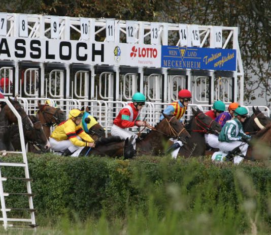 Renntag in Haßloch (Foto: Rennverein Haßloch)