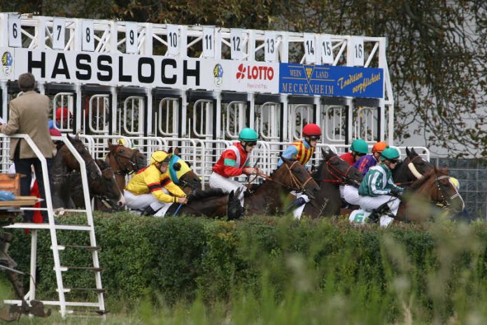 Renntag in Haßloch (Foto: Rennverein Haßloch)