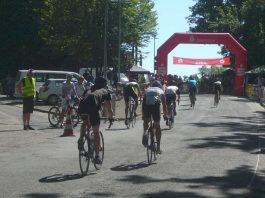 Das Turmbergrennen in Karlsruhe-Durlach 2017 (Foto: Hannes Blank)